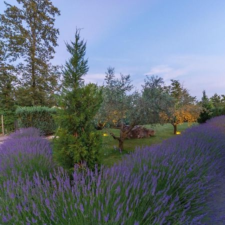 Villa Kate Istria Žminj 외부 사진