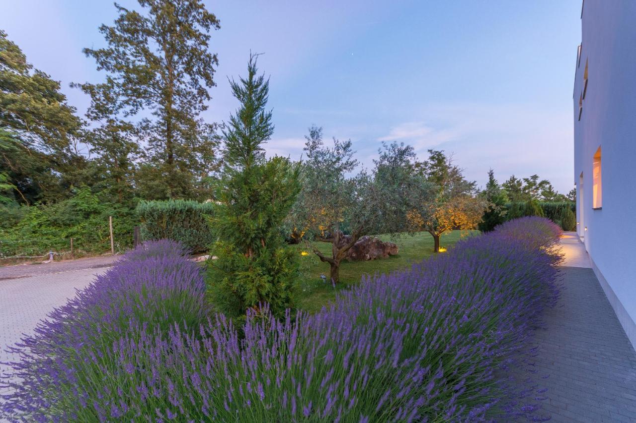Villa Kate Istria Žminj 외부 사진